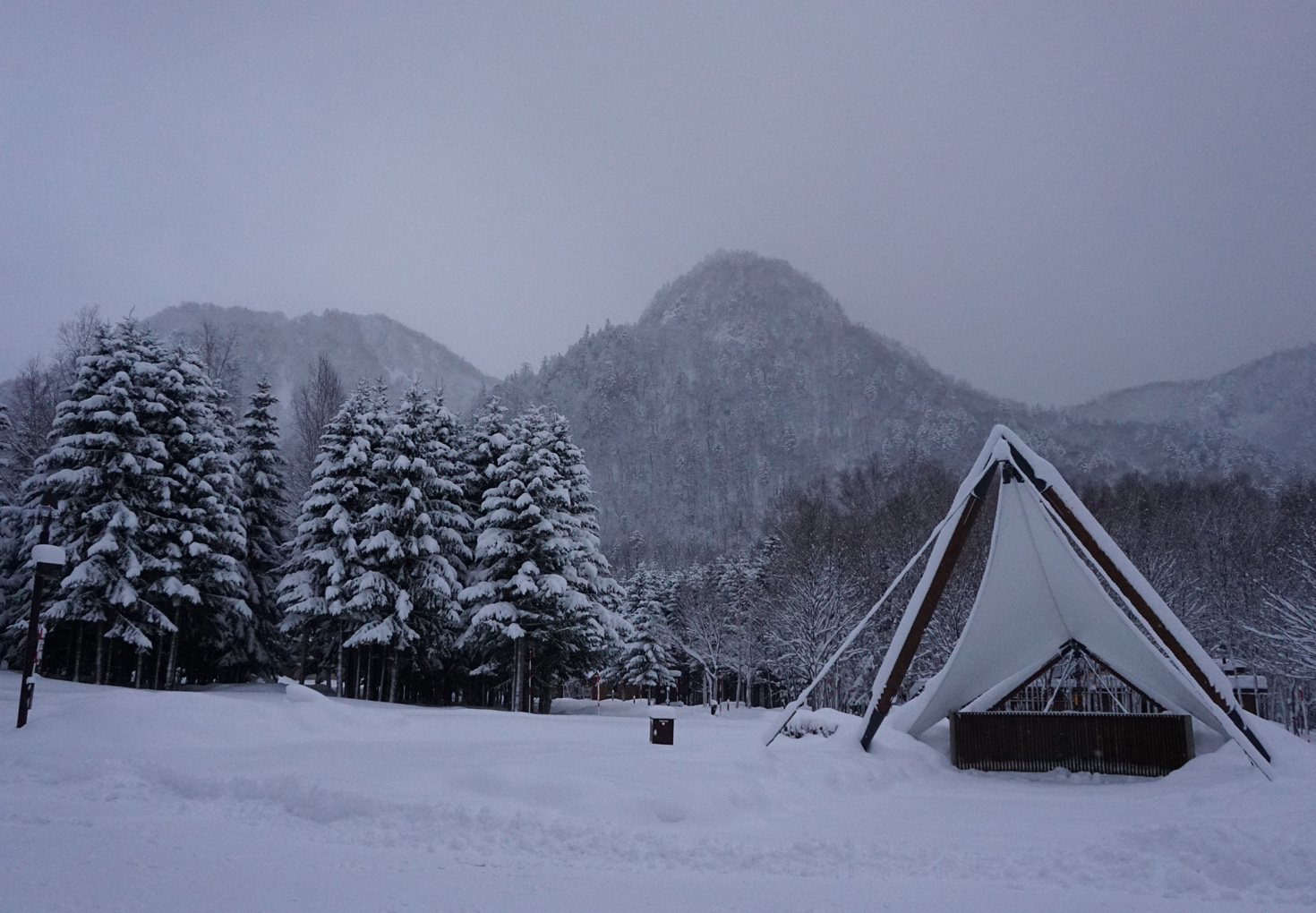 札幌市定山渓自然の村 冬キャンプ 太陽の広場
