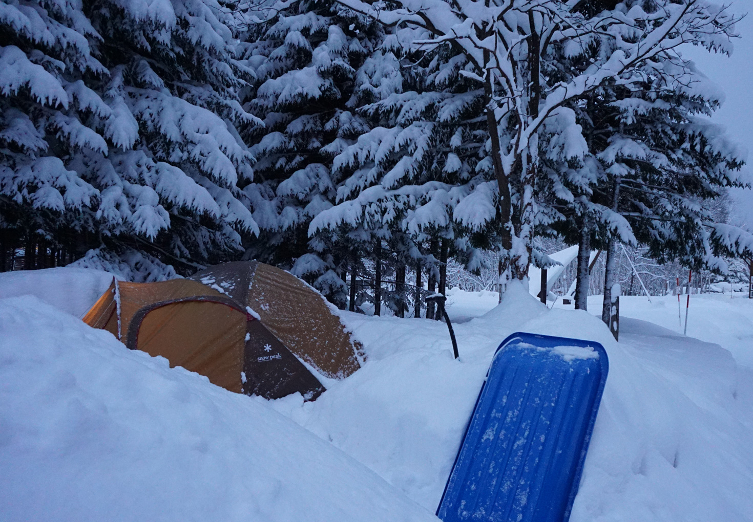 札幌市定山渓自然の村 冬キャンプ テントサイト