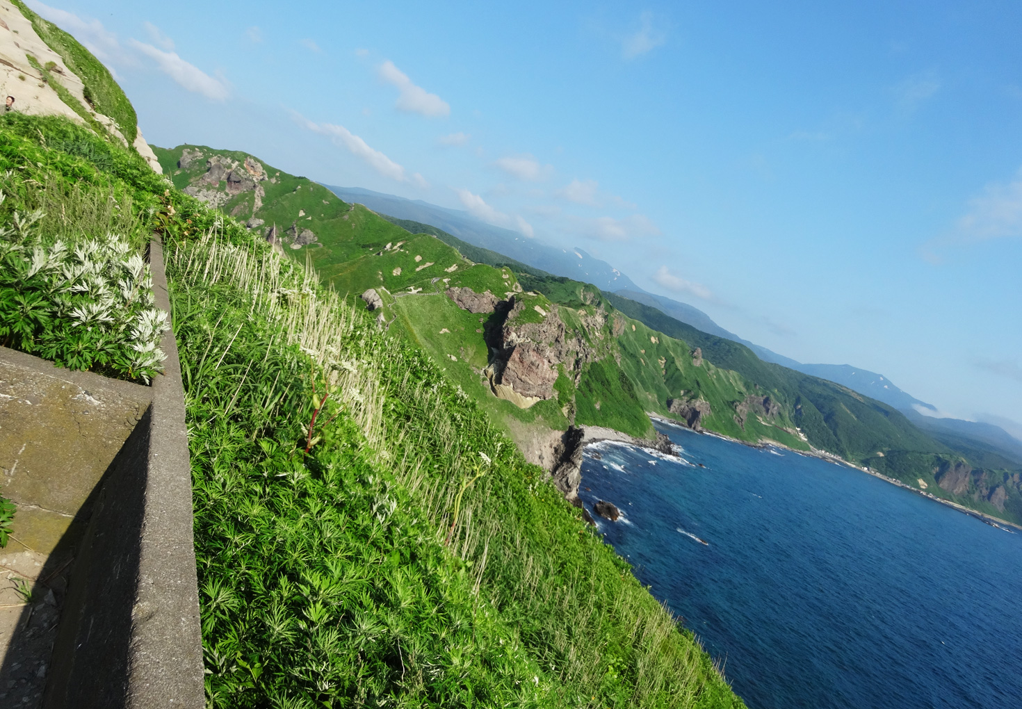 神威岬展望台 断崖絶壁の風景