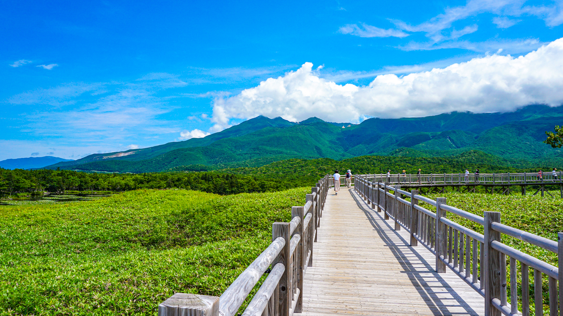 知床五湖 北海道斜里郡斜里町 H T Info