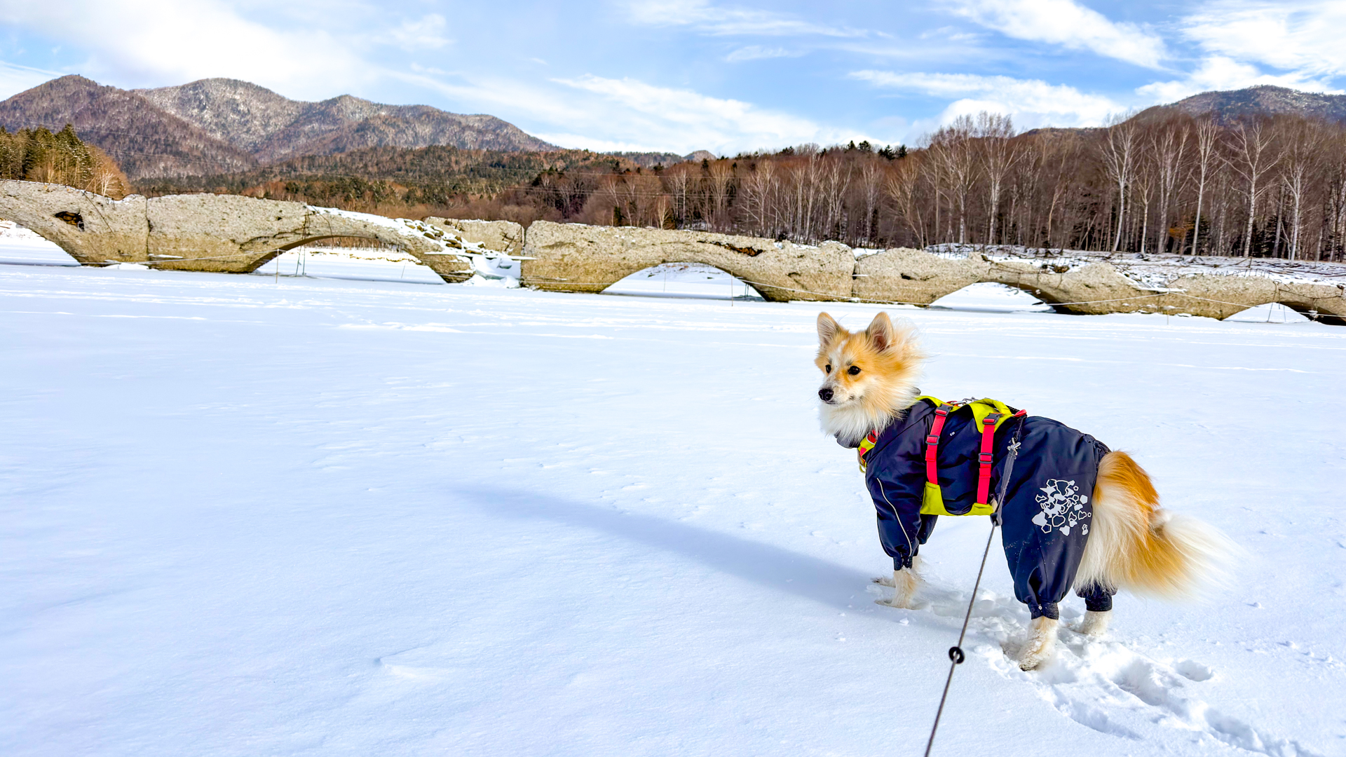 犬連れ　タウシュベツ川橋梁