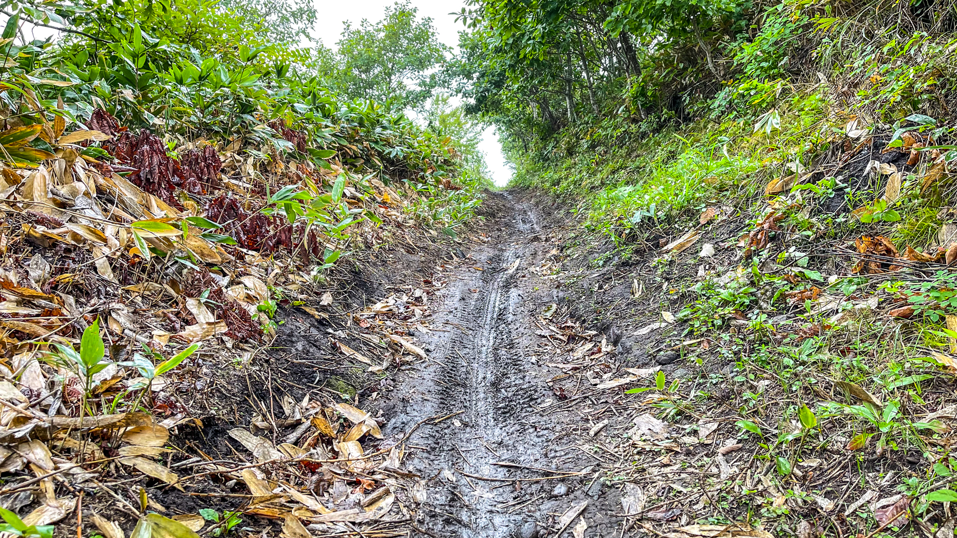 開陽台 ウシ空のキャンプ場 バイク登り口の道